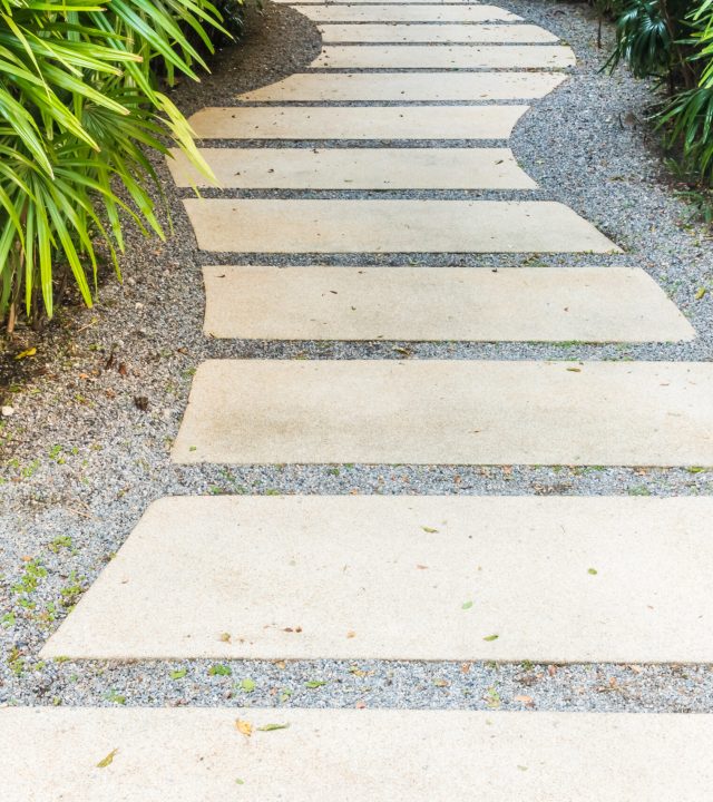 Path way in the garden Stone Path way in the garden